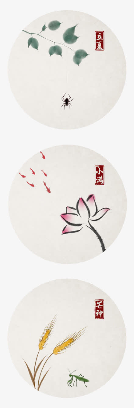 立夏免抠