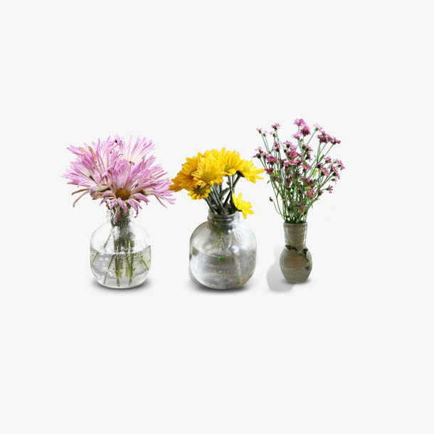 三瓶花免抠