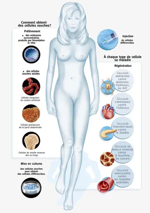 生物医疗插图免抠