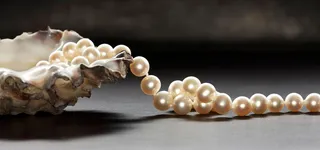 珍珠高清