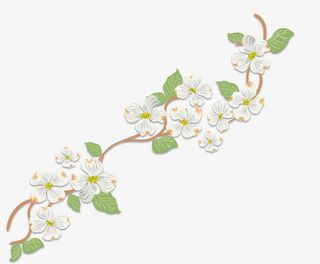 春天装饰手绘花藤素材免抠