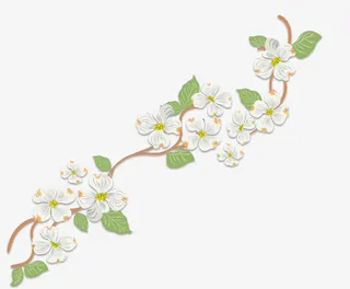 春天装饰手绘花藤素材免抠