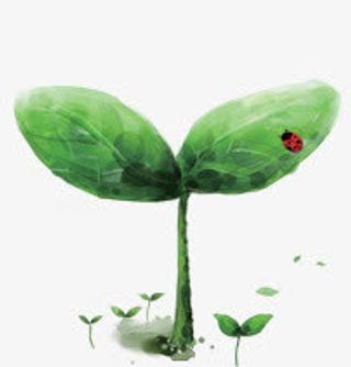 春天小草手绘瓢虫免抠