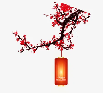 灯笼梅花免抠
