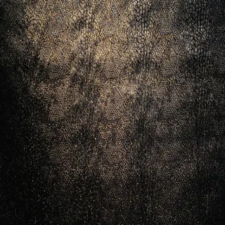 黑色蛇皮背景 黑色蛇皮背景