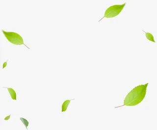 漂浮春季装饰环保绿叶免抠