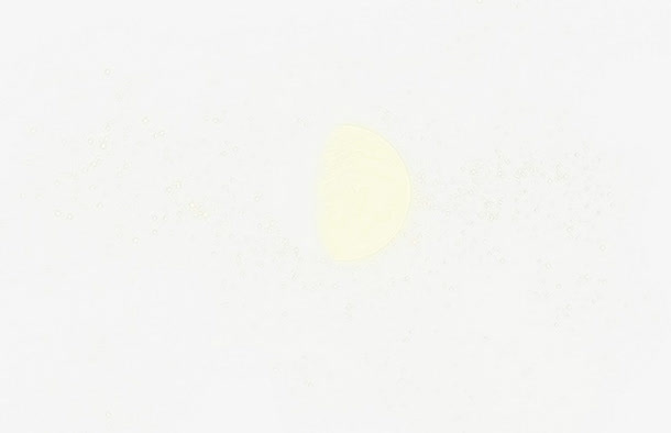 明月免抠
