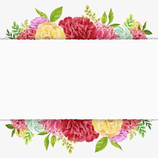 唯美康乃馨感恩卡片插画免抠