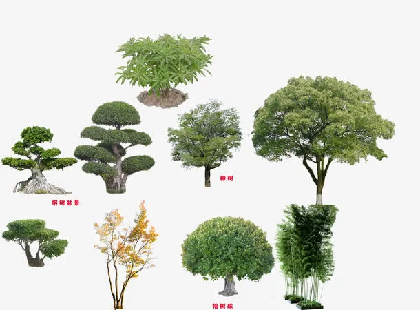 树免抠