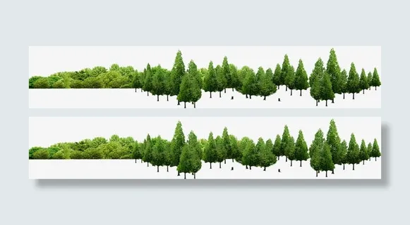 公园春天景观大树树林免抠