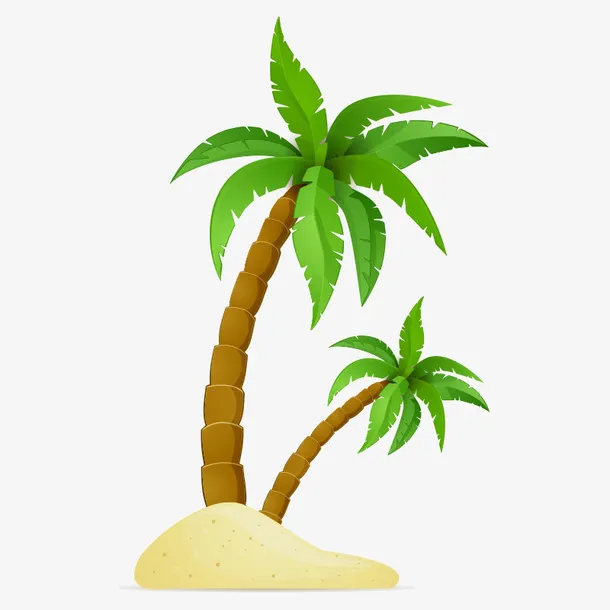夏天里的椰子树免抠