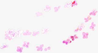 粉色漂浮的花朵免抠