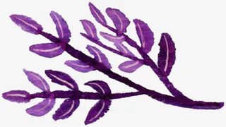 手绘纹理紫色树叶免抠