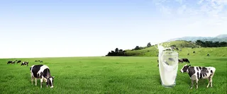 牛奶海报背景高清