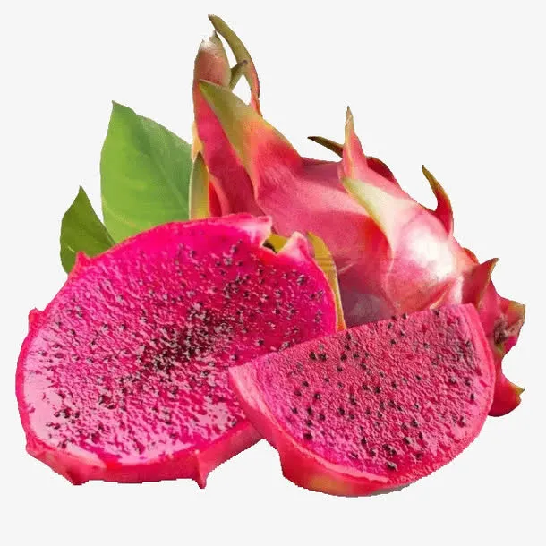 红心火龙果免抠