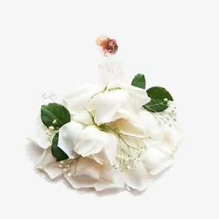 白色玫瑰花瓣免抠