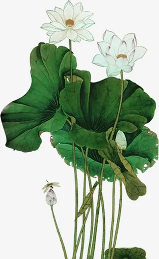 荷花古韵水墨艺术免抠