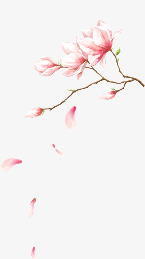 创意水彩手绘粉红色的桃花免抠