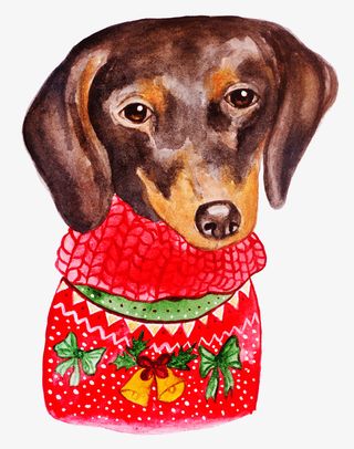 手绘卡通动物头像狗狗头像免抠