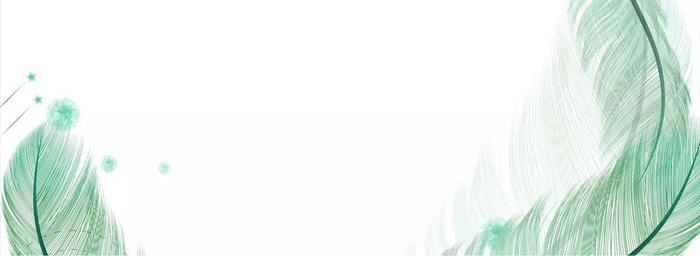 绿色简约手绘羽毛女装海报banner高清