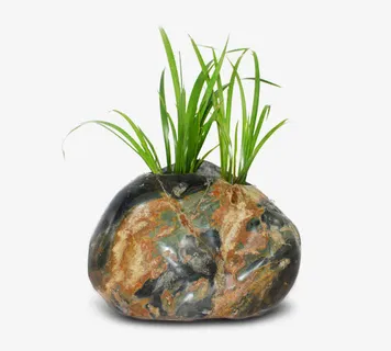 小草纹理石头免抠