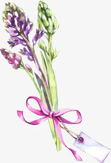 手绘卡通装饰花瓣花草装饰海报设免抠