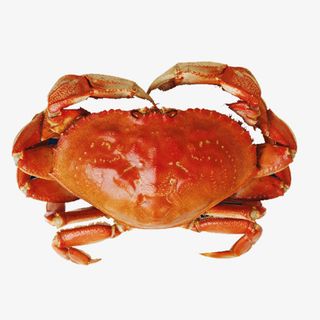 螃蟹大闸蟹美食素材免抠