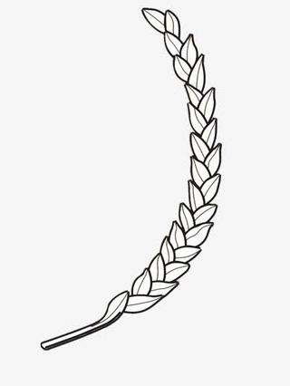 成熟的稻谷免抠