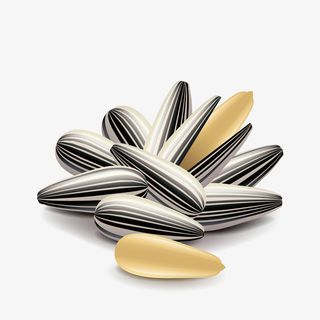 黑色的卡通瓜子食物免抠