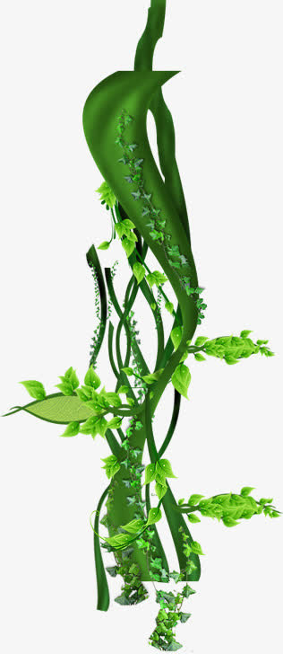 春天绿叶藤蔓植物免抠