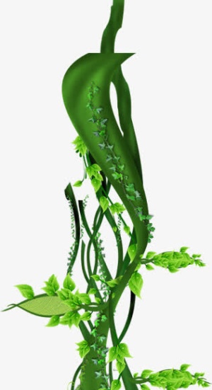 春天绿叶藤蔓植物免抠