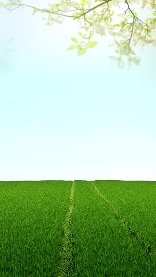 春天来了春景H5背景高清