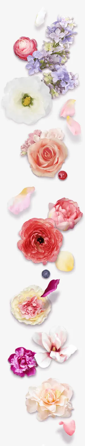 红色花苞 蓝色花朵 png素材免抠