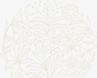 中国风手绘小花装饰免抠