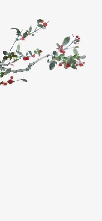 华枝春满 红豆免抠