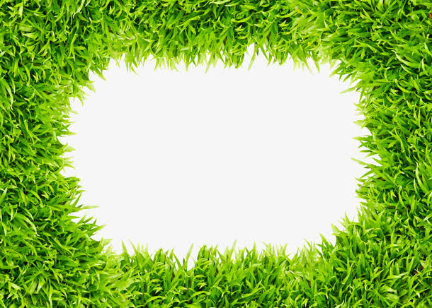 春天绿叶边框设计素材免抠装饰边框元素