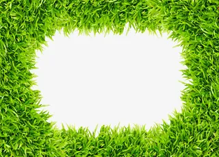 春天绿叶边框设计素材免抠装饰边框元素