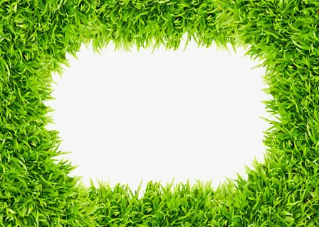 春天绿叶边框设计素材免抠装饰边框元素 春天绿叶边框设计素材免抠装饰边框元素