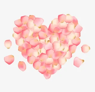 心型玫瑰花瓣免抠