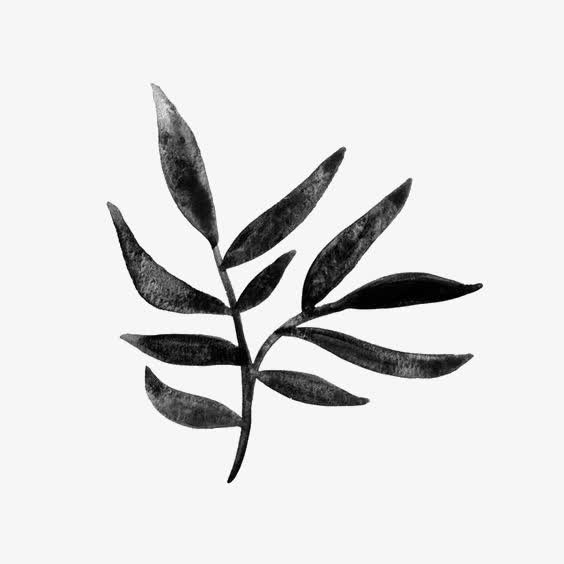 树叶免抠