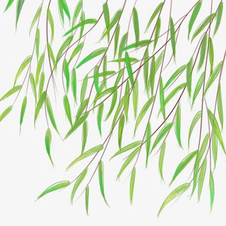 阳春三月春天踏青柳叶免抠