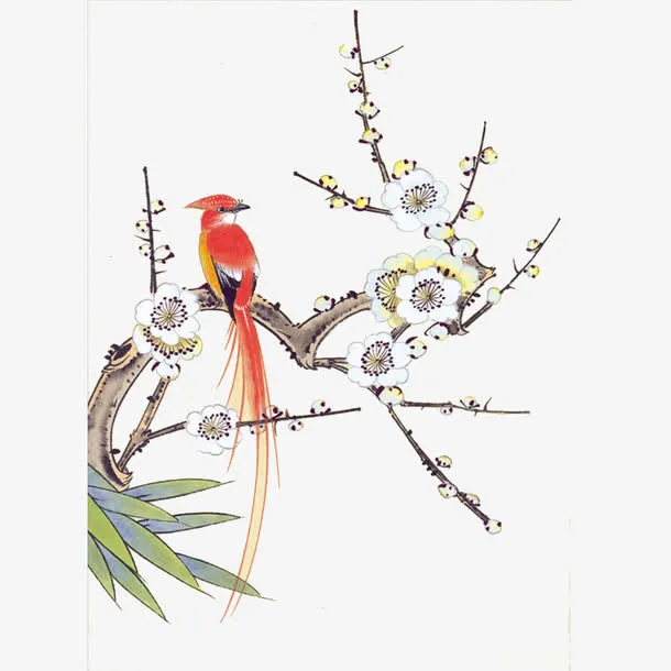 花鸟图免抠