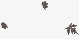落叶免抠