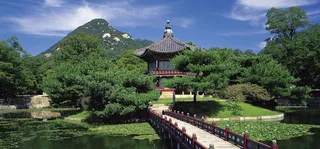 森林小亭海报背景高清