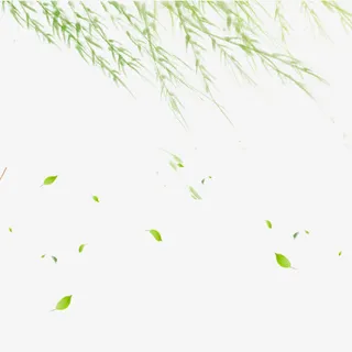 柳枝飘素材免抠漂浮叶子元素