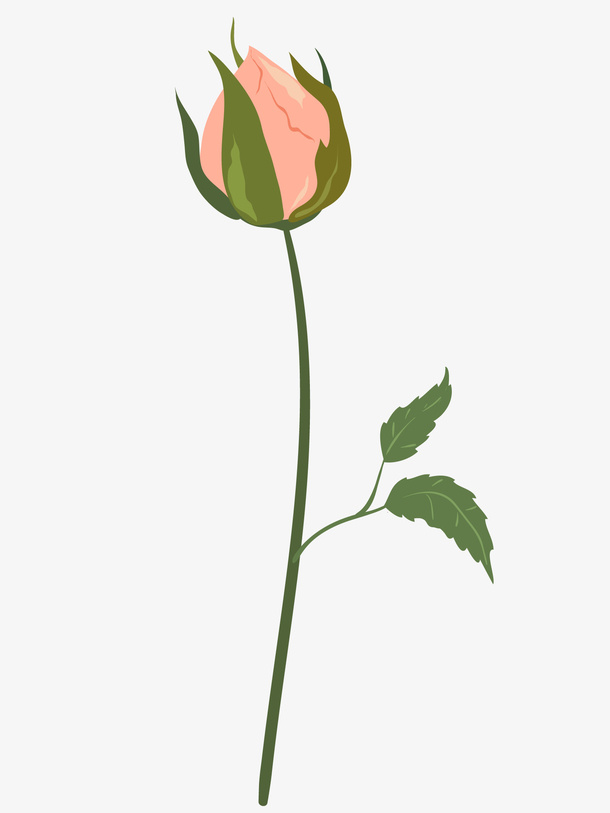 手绘粉色玫瑰花苞免抠