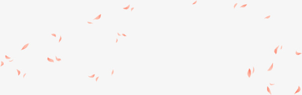 漂浮的花瓣免抠