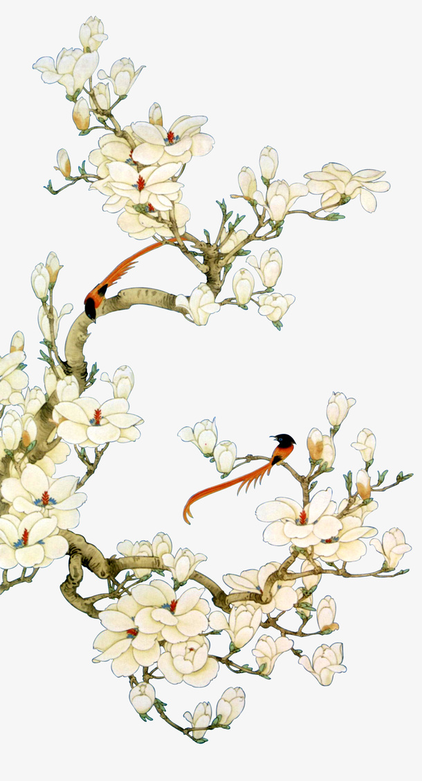 工笔画免扣素材3免抠