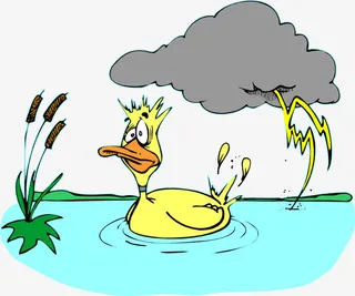 游泳的鸭子免抠