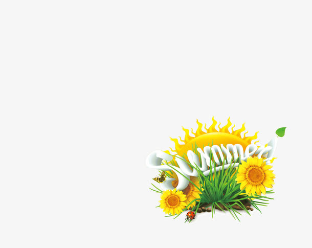 夏天 summer 花卉免抠